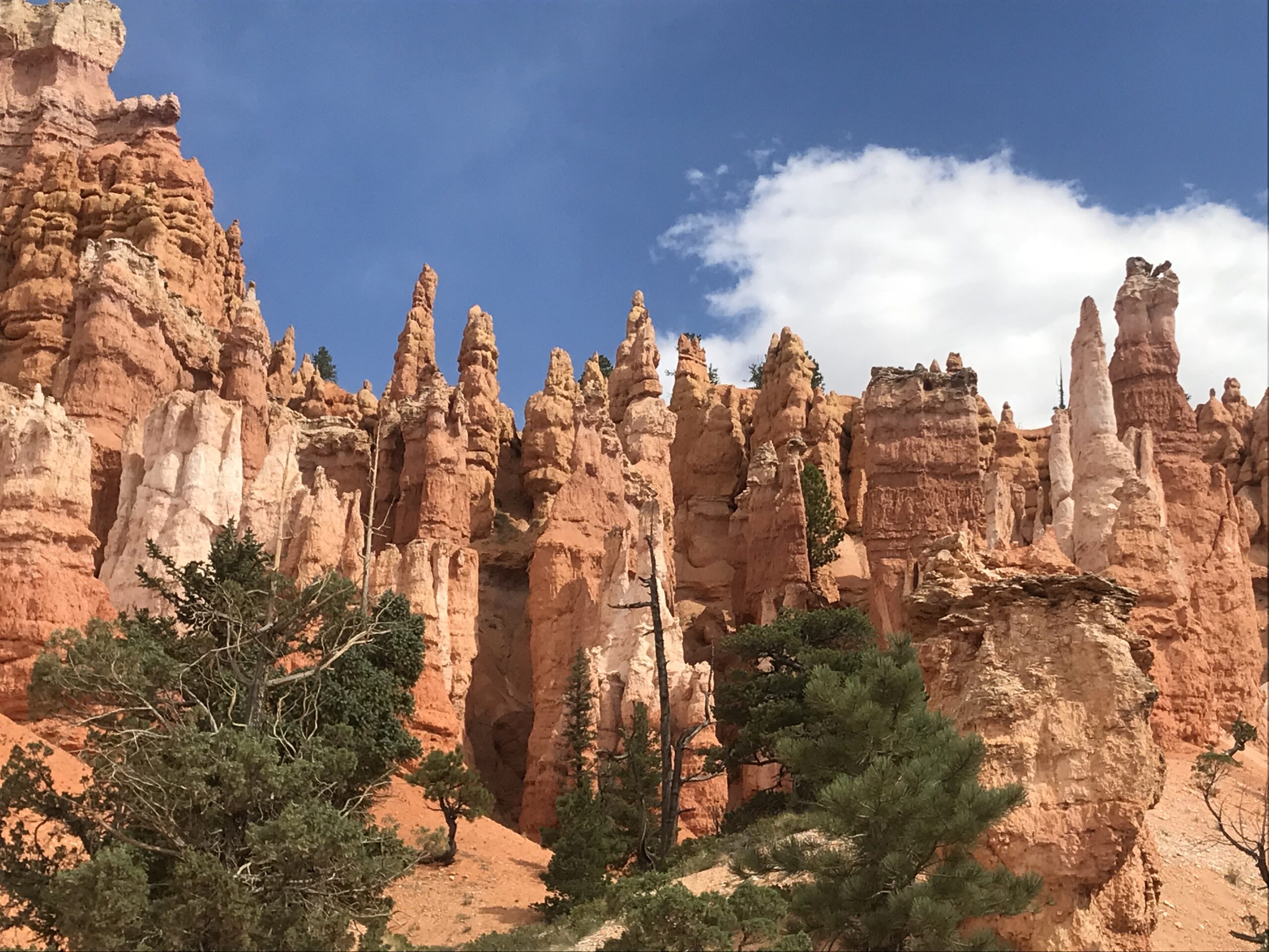 Bryce Canyon is a great national park spring break destination for short walks with stunning views of hoodoos.