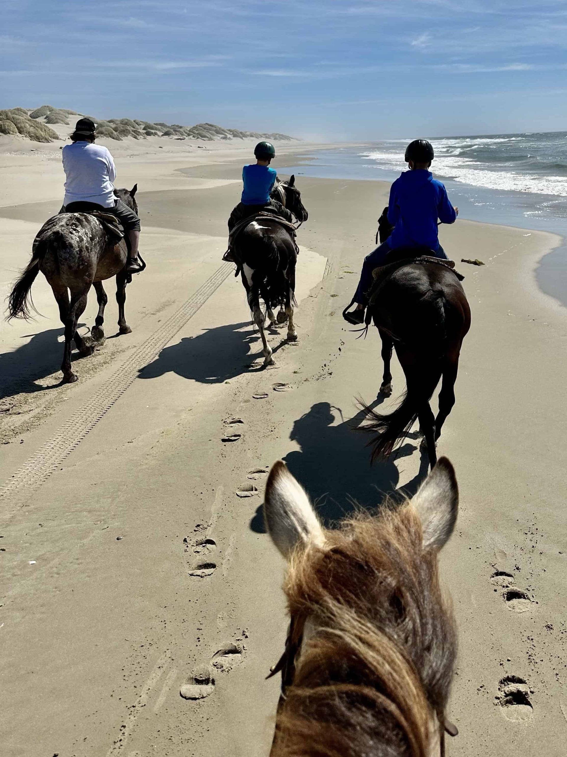 Horseback riding on the Oregon Coast, near Crater Lake national park