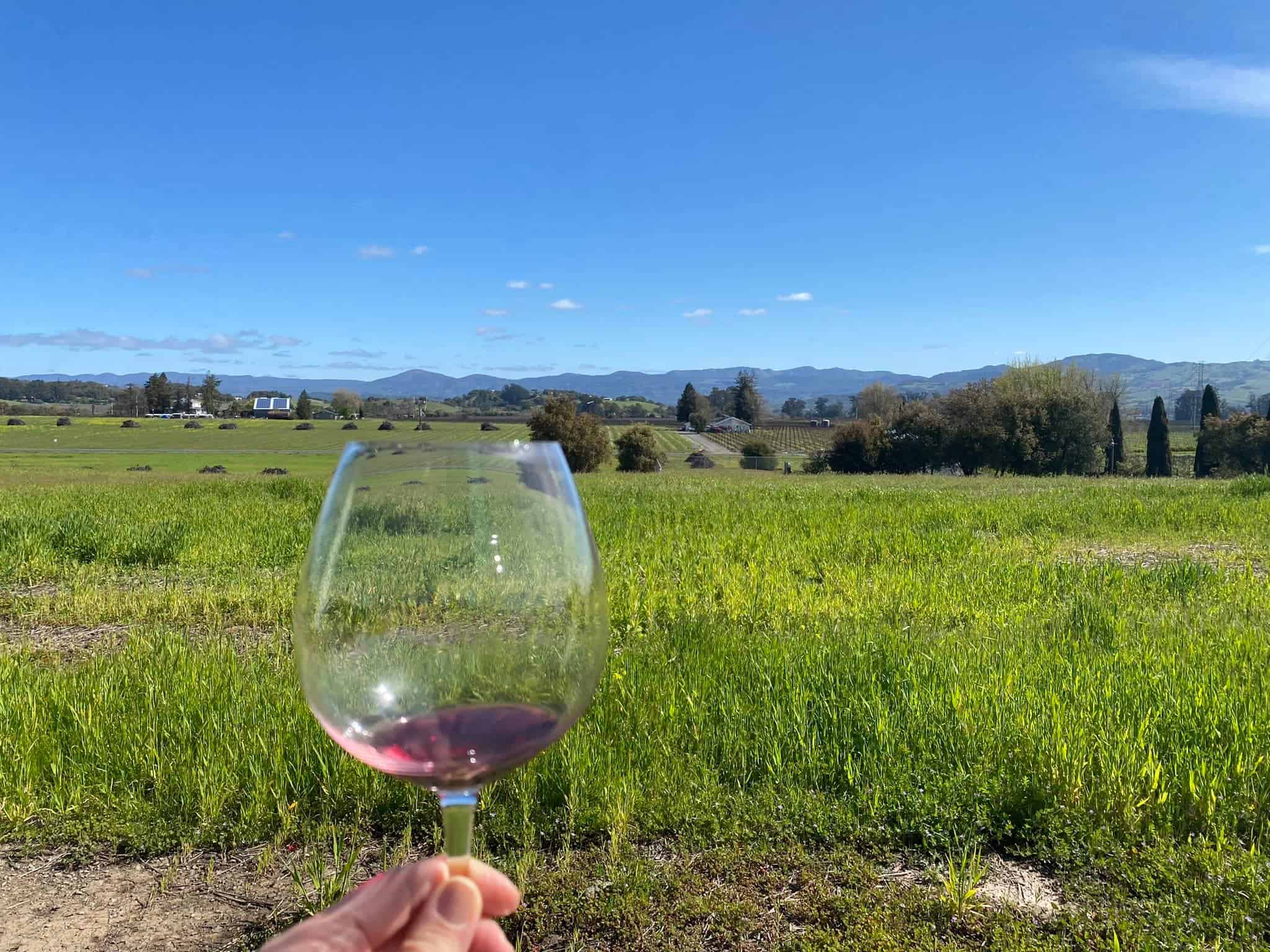 Napa Valley Wine Tasting with glass of wine overlooking scenery