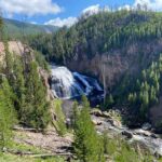 Wide waterfall cascading over rocky cliffs surrounded by pine trees in Yellowstone National Park