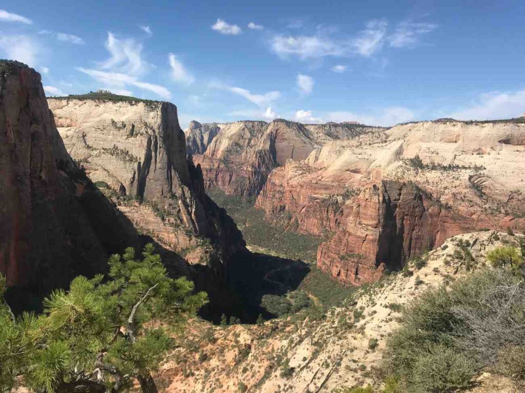 High elevation view looking down at the winding road and canyon floor of Zion National Park