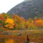 Acadia National Park in peak fall foliage with vibrant red and orange leaves