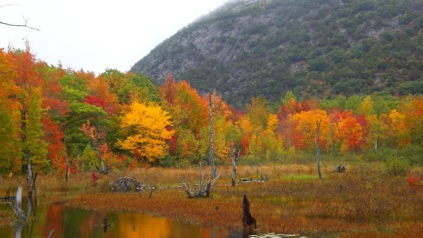 Gorgeous fall foliage colors by Jordan Lake at Acadia National Park