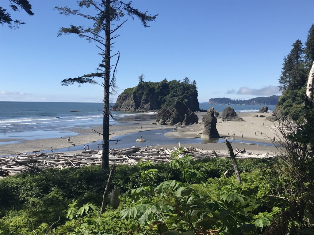 View of ocean and rock formations on Coastal Drive in Olympic National Park
