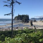 View of ocean and rock formations on Coastal Drive in Olympic National Park